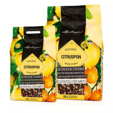 citruspon substrat de plantation