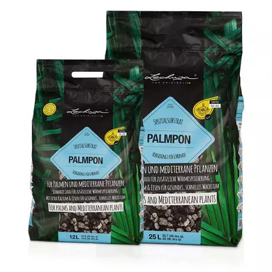 palmpon substrat de plantation